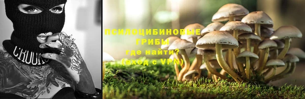 сатива Балахна