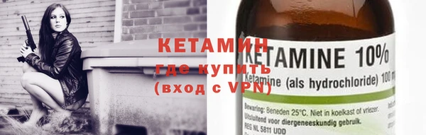 сатива Балахна