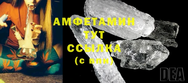 сатива Балахна